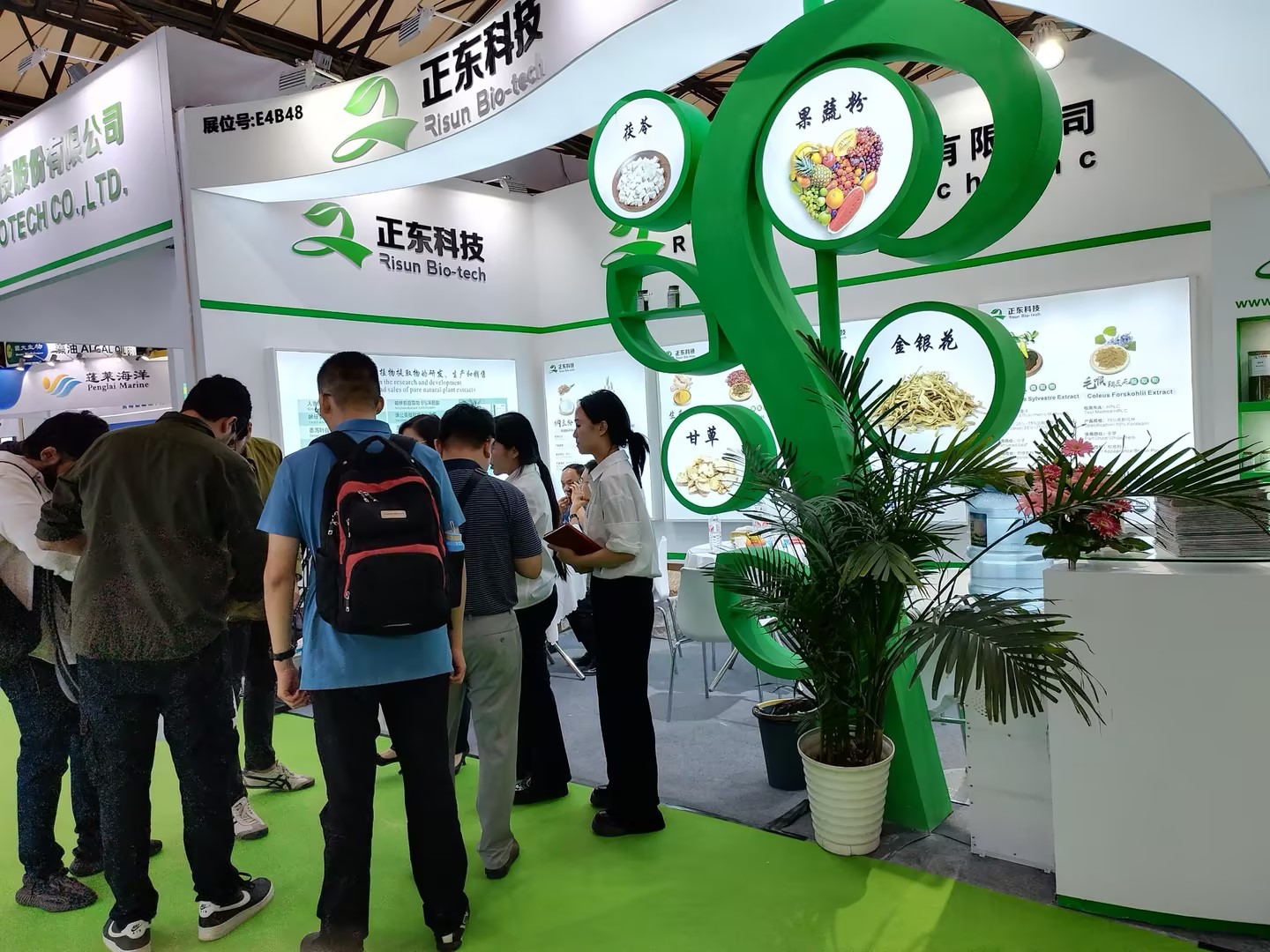 a092be995782b9e358eb26e7aaf71788(1).jpg