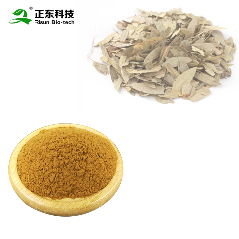 番泻叶提取物20%_Senna Leaf Extract.png